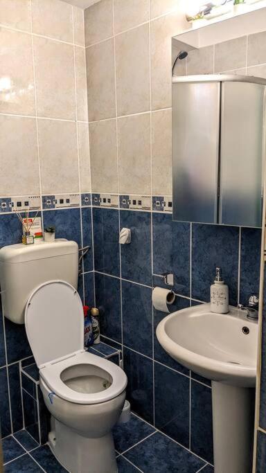Cosy One Bedroom Flat With Free Parking & Wifi Cluj-Napoca Extérieur photo
